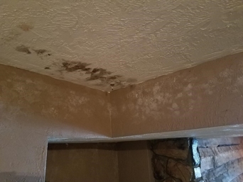 Ceiling with mold damage